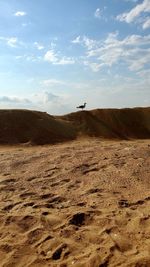 Scenic view of desert against sky