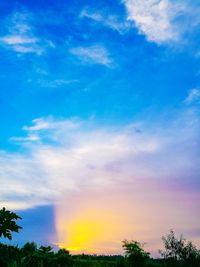 Low angle view of silhouette trees against blue sky