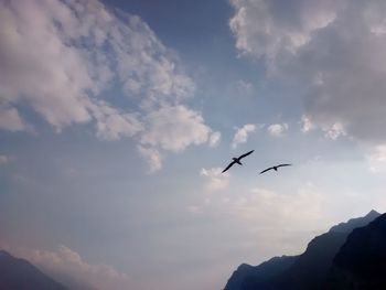 Low angle view of silhouette birds flying against sky