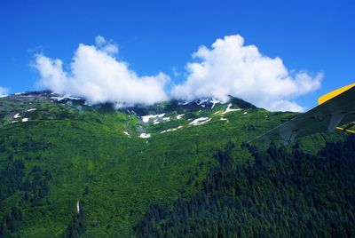 Seaplane tour juneau alaska