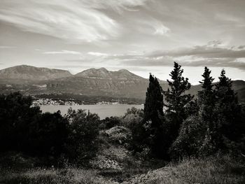 Trees on countryside lake against mountain range