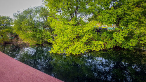 Scenic view of lake amidst trees during autumn