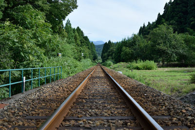 Railroad tracks amidst trees in forest