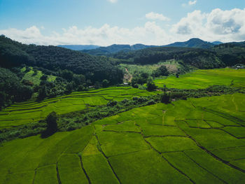 Scenic view of agricultural field against sky