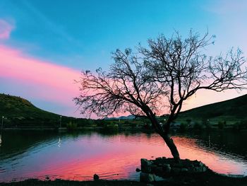 Silhouette tree by lake against sky during sunset