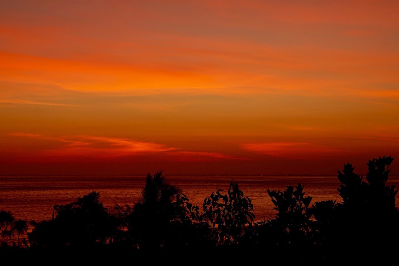 sunset, tree, beauty in nature, scenics, silhouette, nature, sea, tranquil scene, orange color, tranquility, no people, outdoors, sky, water, growth, beach, horizon over water, day