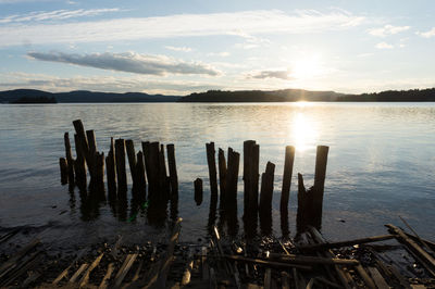 Wooden posts in lake at sunset