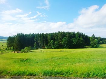 Trees on field against sky