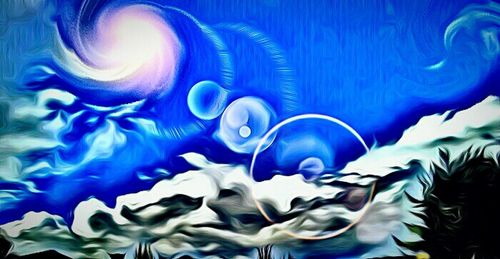 Close-up of jellyfish
