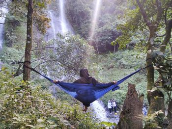 Rear view of woman sitting on land by trees in forest