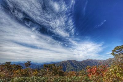 Scenic view of landscape against blue sky