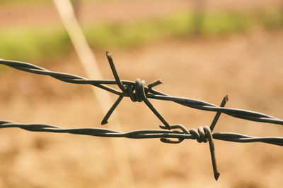 Close-up of barbed wire on fence