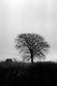 Silhouette bare tree on field against sky