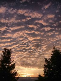 Low angle view of silhouette trees against sky at sunset