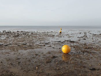 Yellow floating on sea against sky