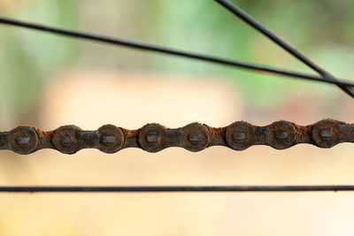 Close-up of barbed wire