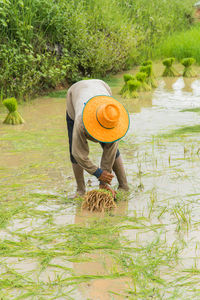 Man working in farm