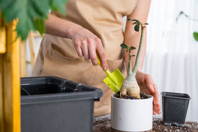 Repotting a