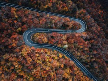 Aerial view of colorful forest and curved road.autumn season. transportation,and travel concept.