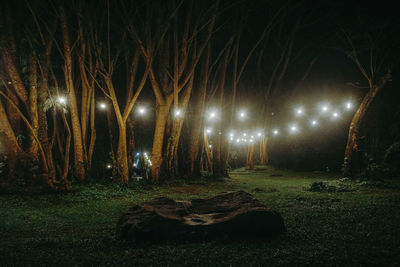 Scenic view of field and forest at night