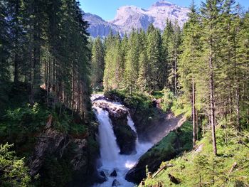 Scenic view of waterfall in forest