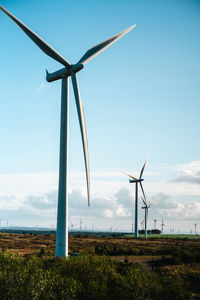 environmental conservation