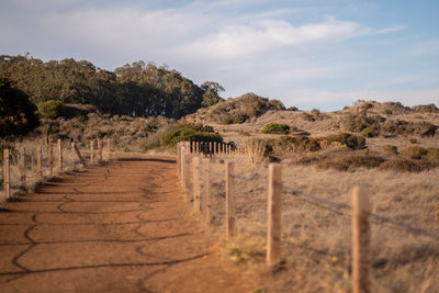 Wooden posts on field against sky