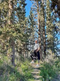 Portrait of young man on tree