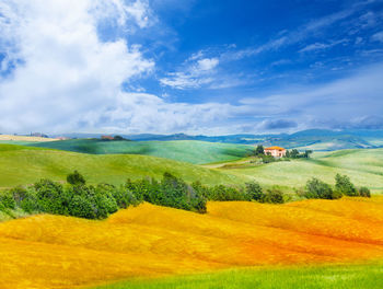 Scenic view of agricultural field against sky