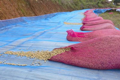 Food on blue netting outdoors