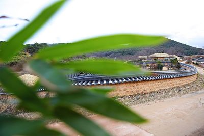 High angle view of plants and buildings against sky