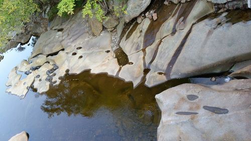 Close-up of rock by water
