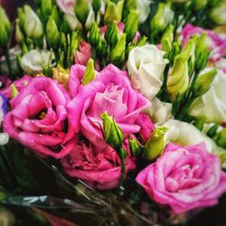 Close-up of pink rose bouquet