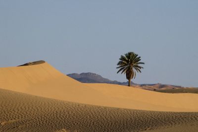 Scenic view of desert against clear sky