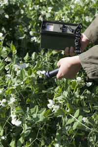 Midsection of man photographing plants