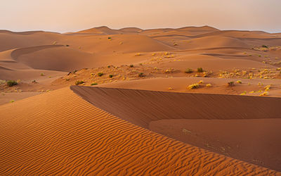 Scenic view of desert during sunset