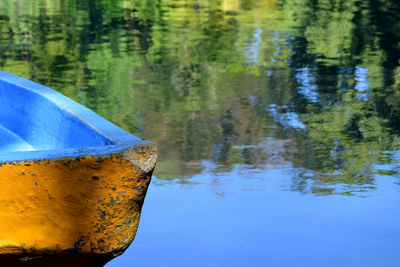 Reflection of trees in lake