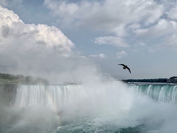 View of birds flying over water against sky
