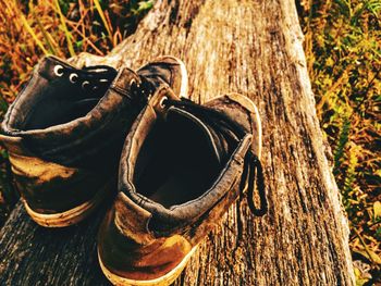 Close-up of shoes on tree trunk in forest