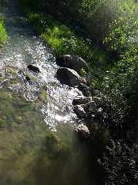 River flowing through rocks in forest