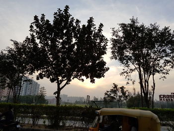 Trees against sky