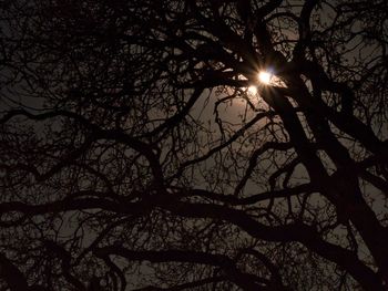 Low angle view of silhouette bare trees against sky