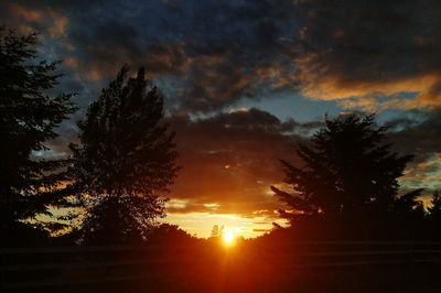 Silhouette trees against sky during sunset