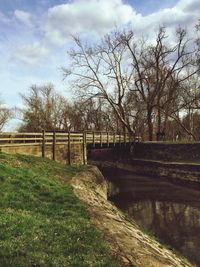 Trees on landscape against cloudy sky