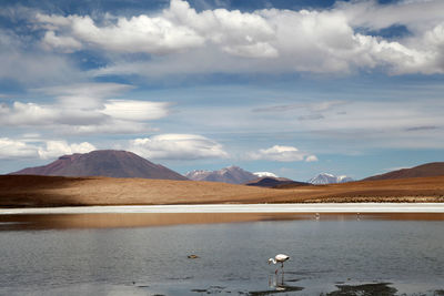 Scenic view of lake against cloudy sky