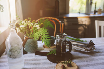 Close-up of potted plant on table at home