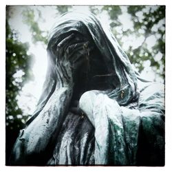 Low angle view of trees