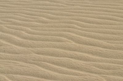 Full frame shot of sand dune