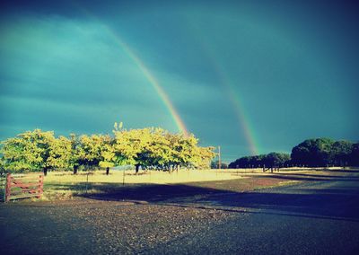 Scenic view of rainbow over landscape