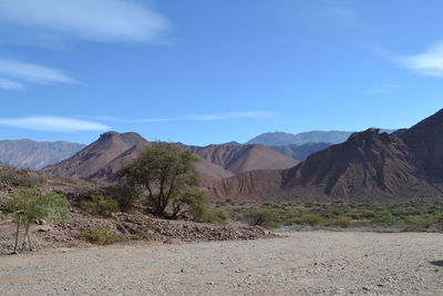 Scenic view of landscape and mountains against sky